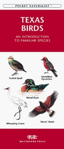 Cover of Birds of Texas