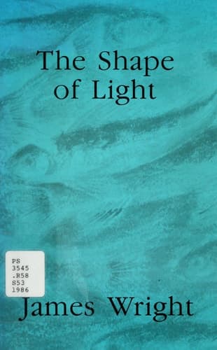 Cover of The Shape of Light