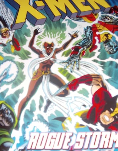 Cover of Rogue Storm