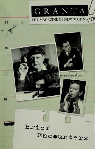 Cover of Brief Encounters