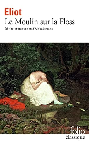 Cover of Le moulin sur la Floss