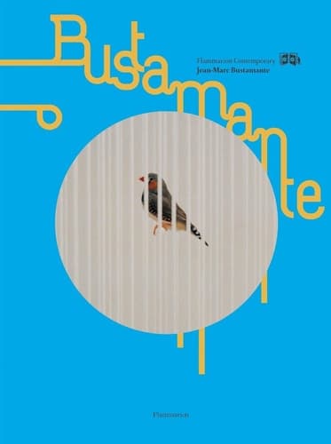 Cover of JEAN-MARC BUSTAMANTE (Flammarian Contemporary Art)