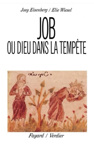 Cover of Job ou Dieu dans la tempête