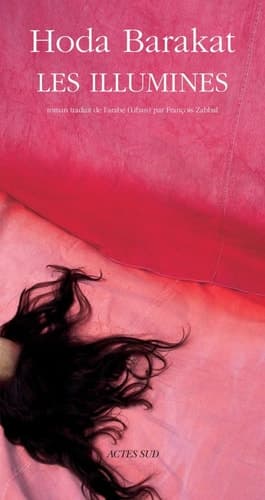 Cover of Les illuminés roman