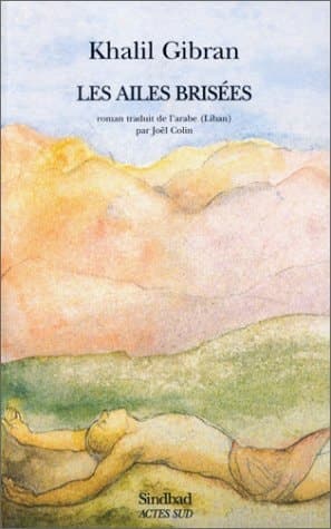 Cover of Les Ailes Brisees