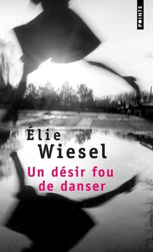 Cover of Un désir fou de danser roman