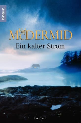 Cover of Ein kalter Strom Roman