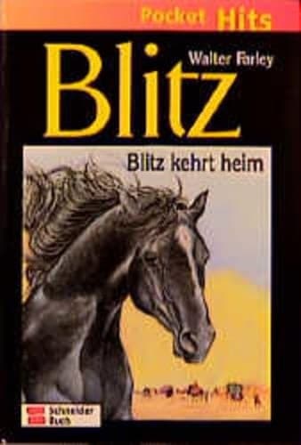 Cover of Blitz Blitz kehrt heim