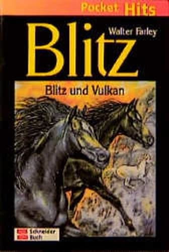 Cover of Black Stallion and Satan