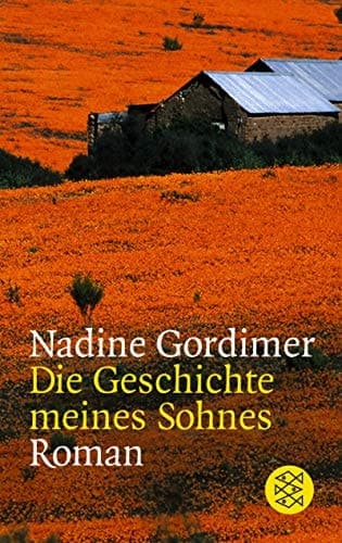 Cover of Die Geschichte meines Sohnes Roman