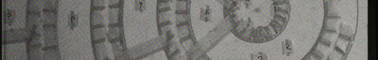 Cover of Sol Lewitt, Mimmo Paladino