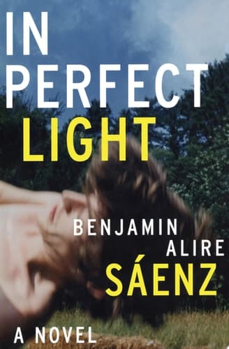 Cover of In Perfect Light A Novel