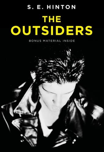 Cover of The Outsiders