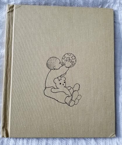 Cover of Amifika;illustrated by Thomas DiGrazia