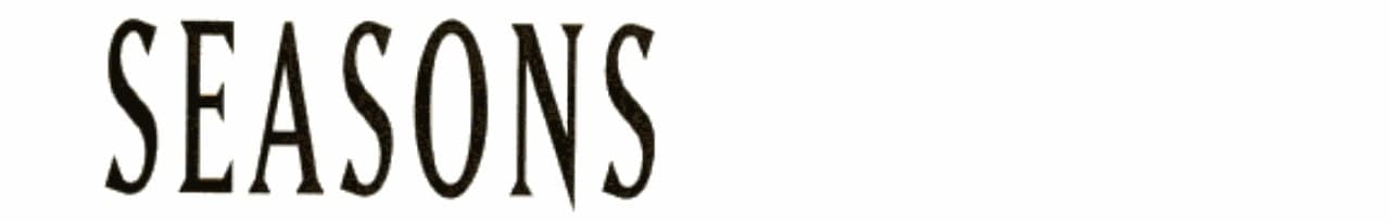 Cover of Seasons of the Heart Men and Women Talk about Love, Sex, and Romance After 60