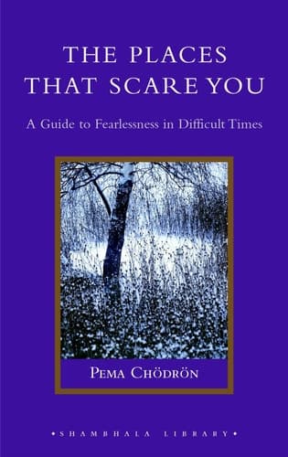 Cover of The Places That Scare You A Guide to Fearlessness in Difficult Times