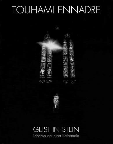 Cover of Geist in Stein Lebensbilder einer Kathedrale : der Regensburger Dom